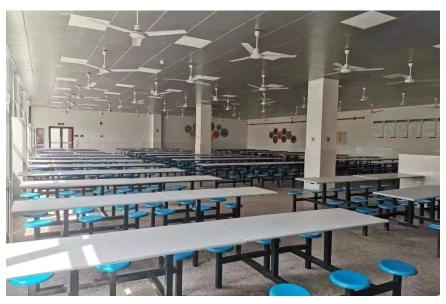 1653966231337876.jpg 4.jpg